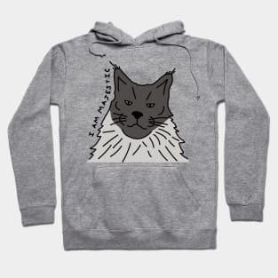 Majestic Animals Grey Maine Coon Cat Hoodie